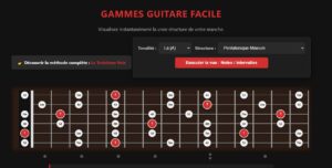Comprendre facilement le manche de la guitare